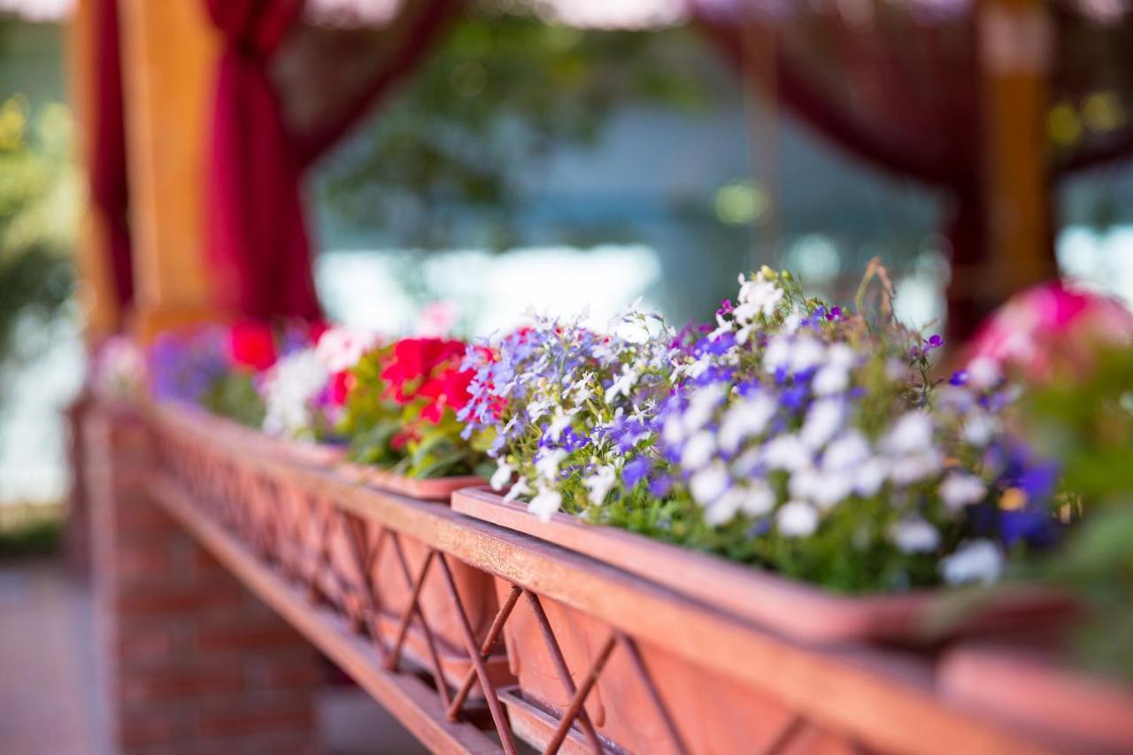 Hotel Grace Garden Kum Eksteriør billede